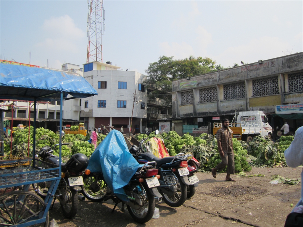 2013南インド旅行161