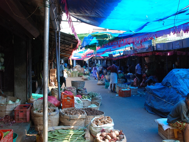 2013南インド旅行237