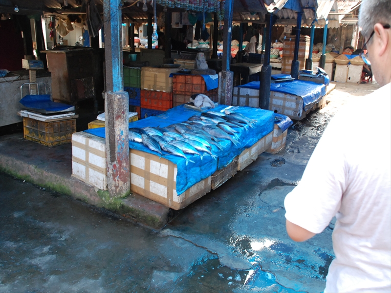 2013南インド旅行231