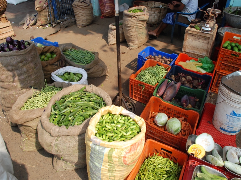 2013南インド旅行223