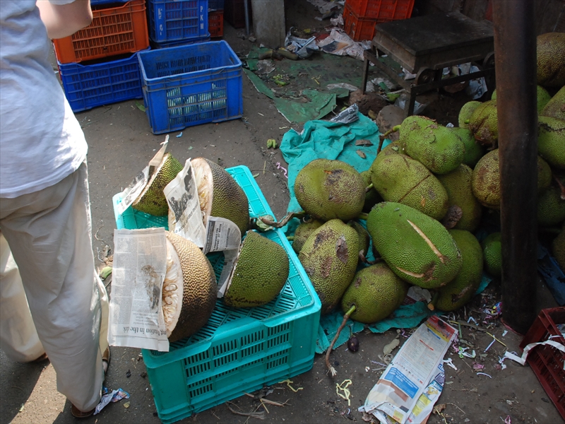 2013南インド旅行242