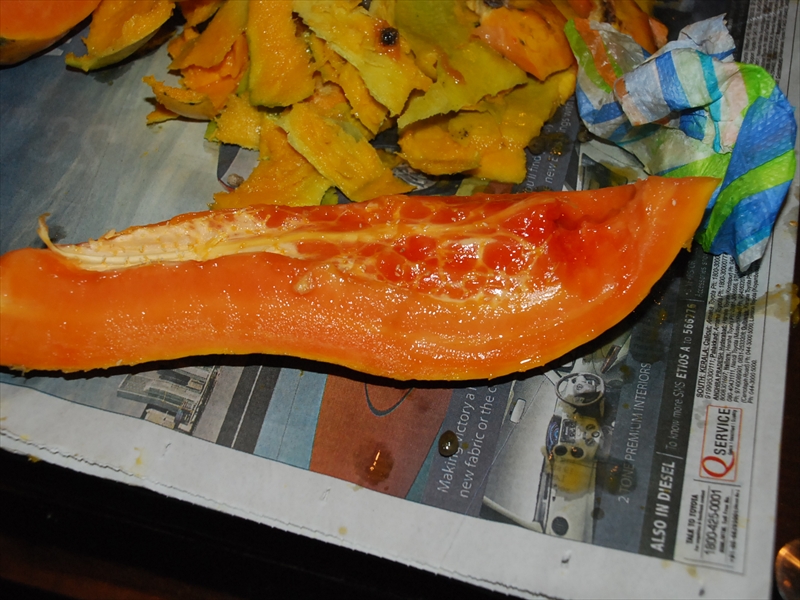 2013南インド旅行300