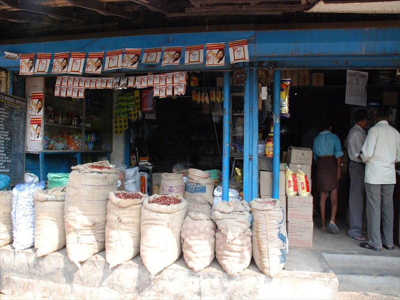 2013南インド旅行220