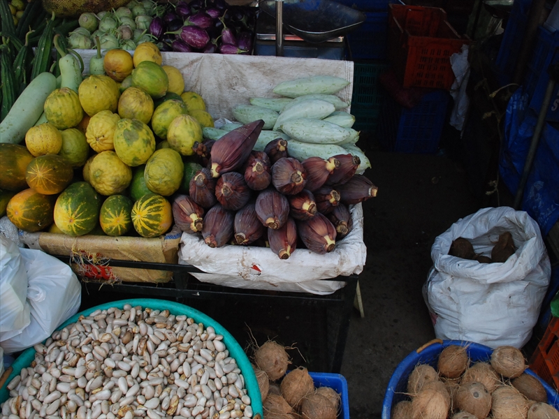 2013南インド旅行245