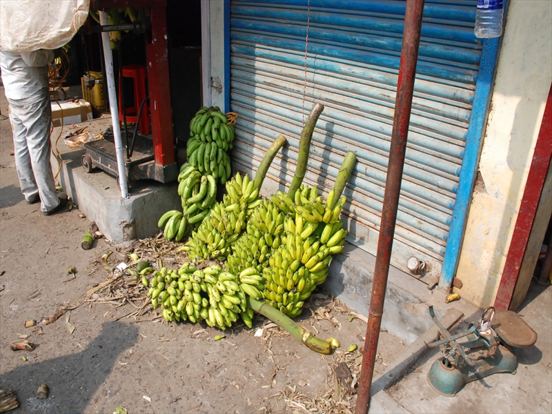 2013南インド旅行226