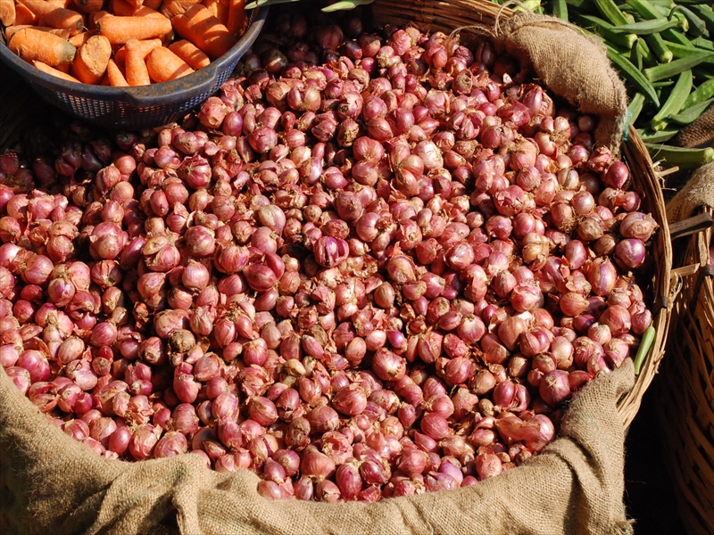 2013南インド旅行238