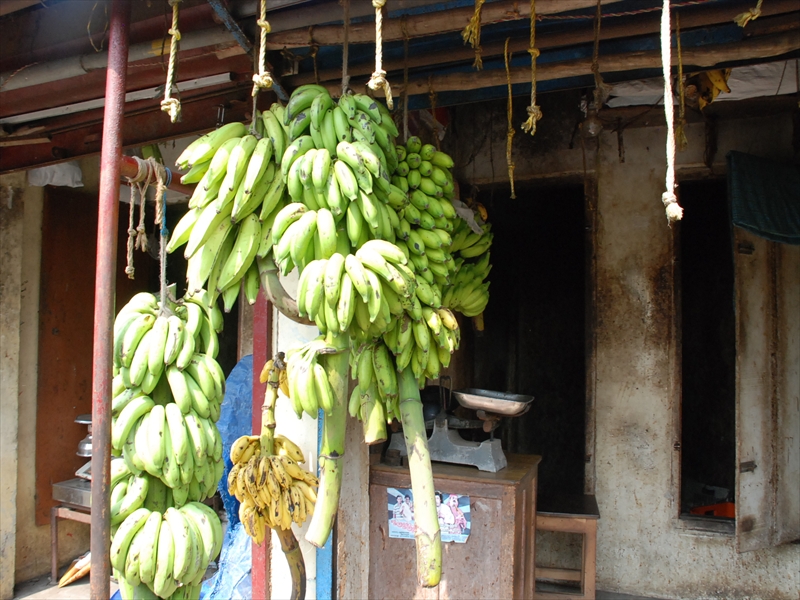 2013南インド旅行225