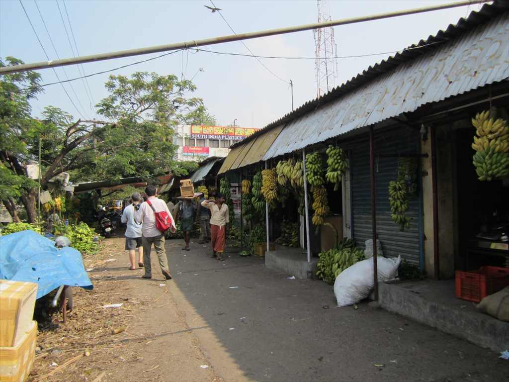 2013南インド旅行159