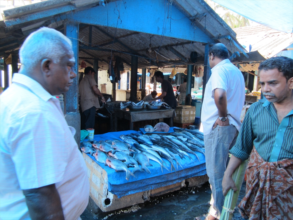 2013南インド旅行170