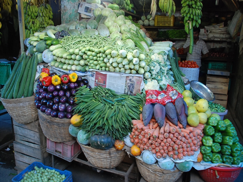 2013南インド旅行229