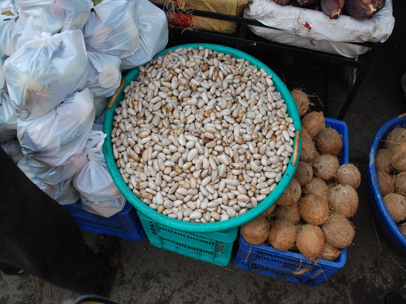 2013南インド旅行247