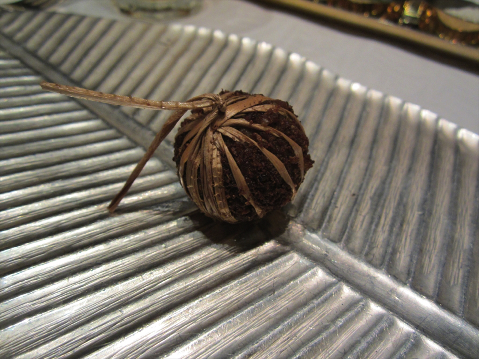 2013南インド旅行309