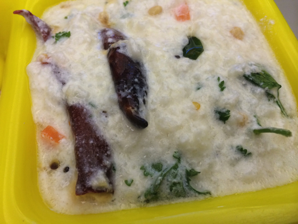 IMG_95132015 imd travel