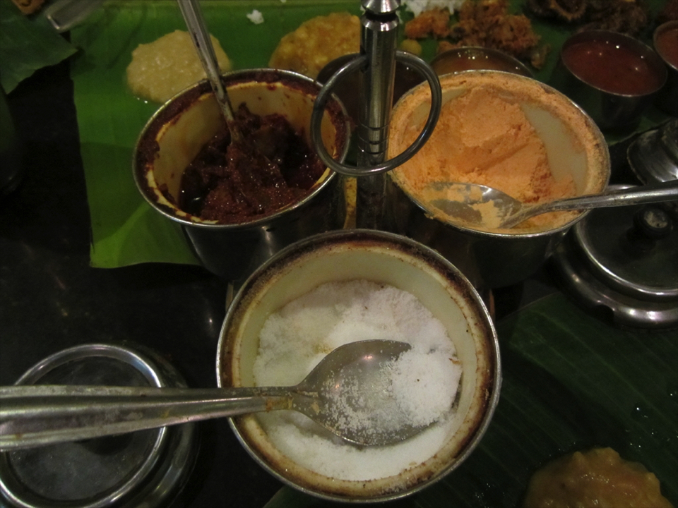 2013南インド旅行469