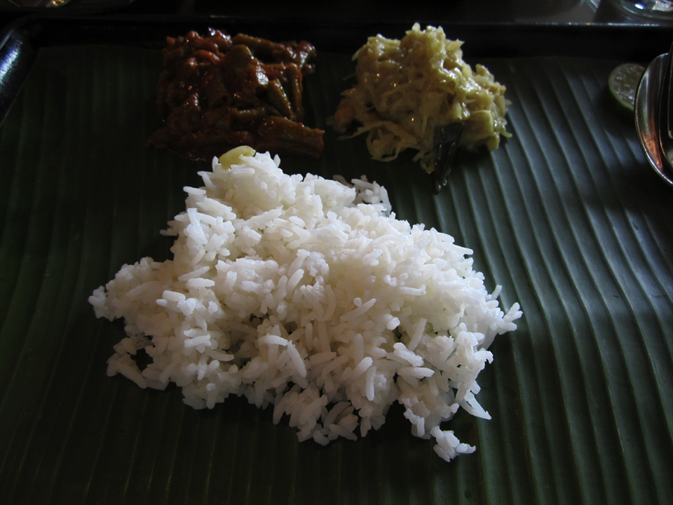 2013南インド旅行489